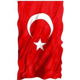 Turk Bayragi