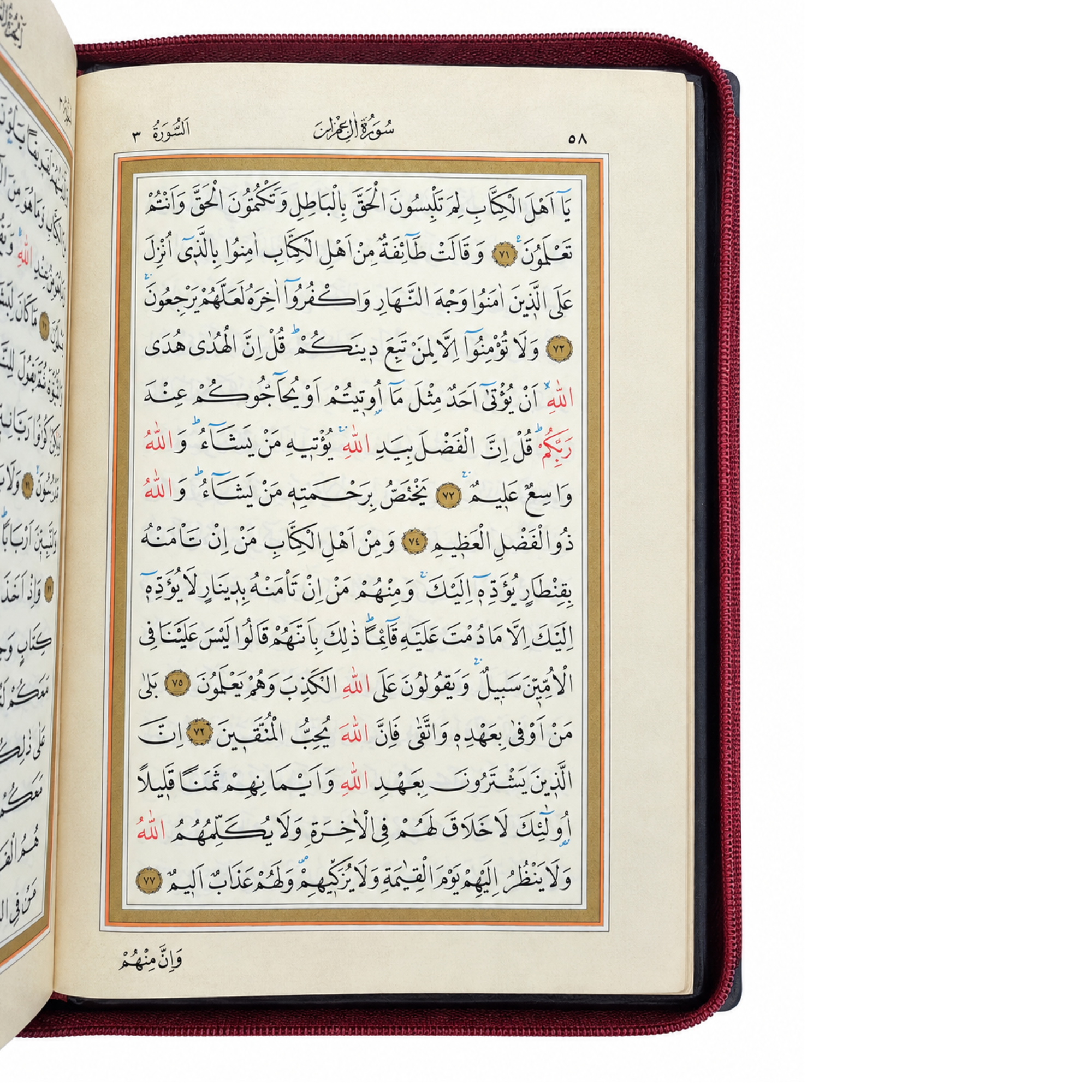 Koran Hafiz Formaat met Rits – Hattat Hamid Aytaç | Roze - Afbeelding 2